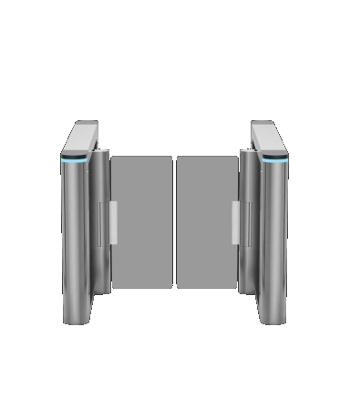Robot passing through automated e-gates